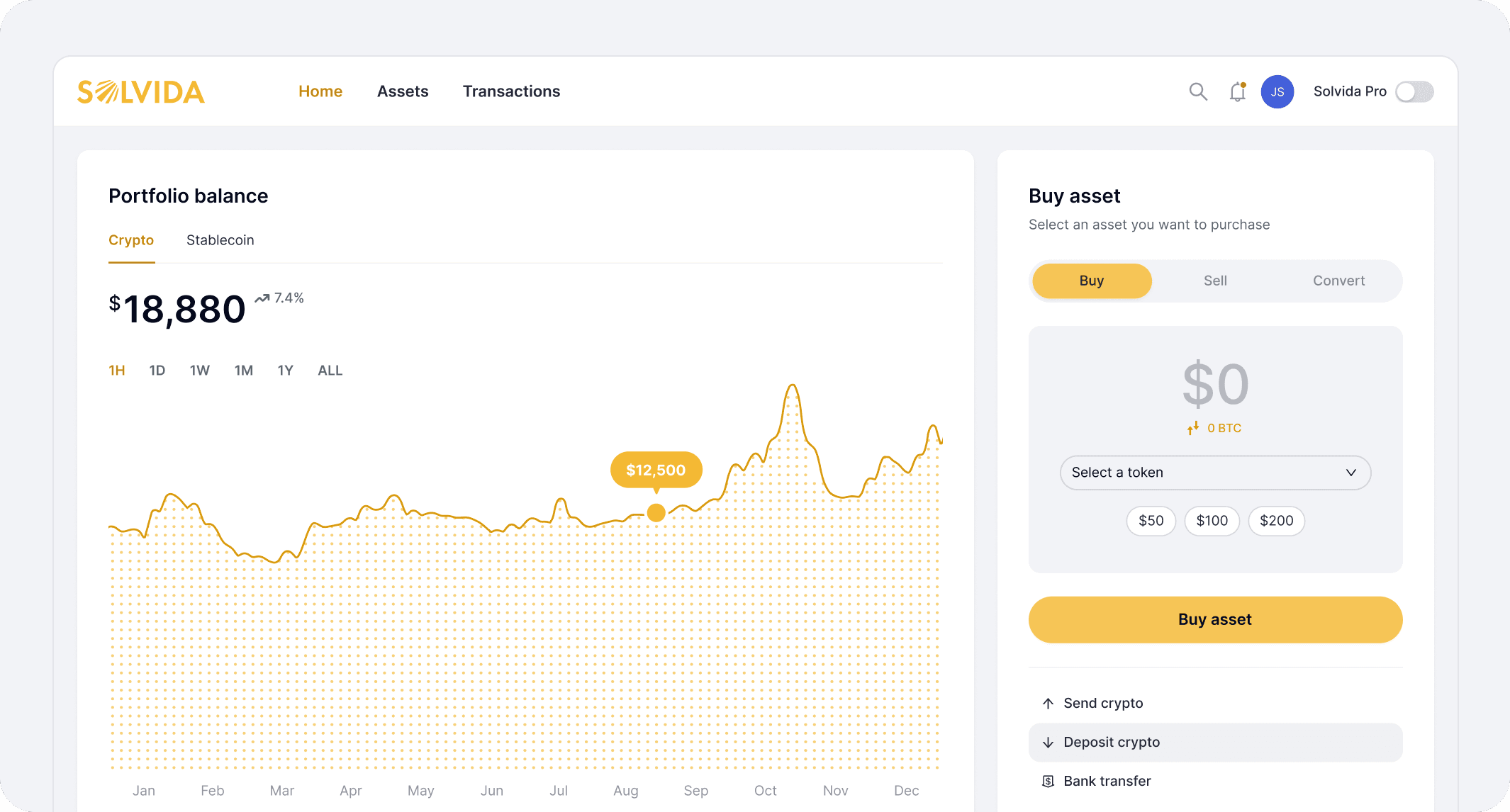 Solvida dashboard preview